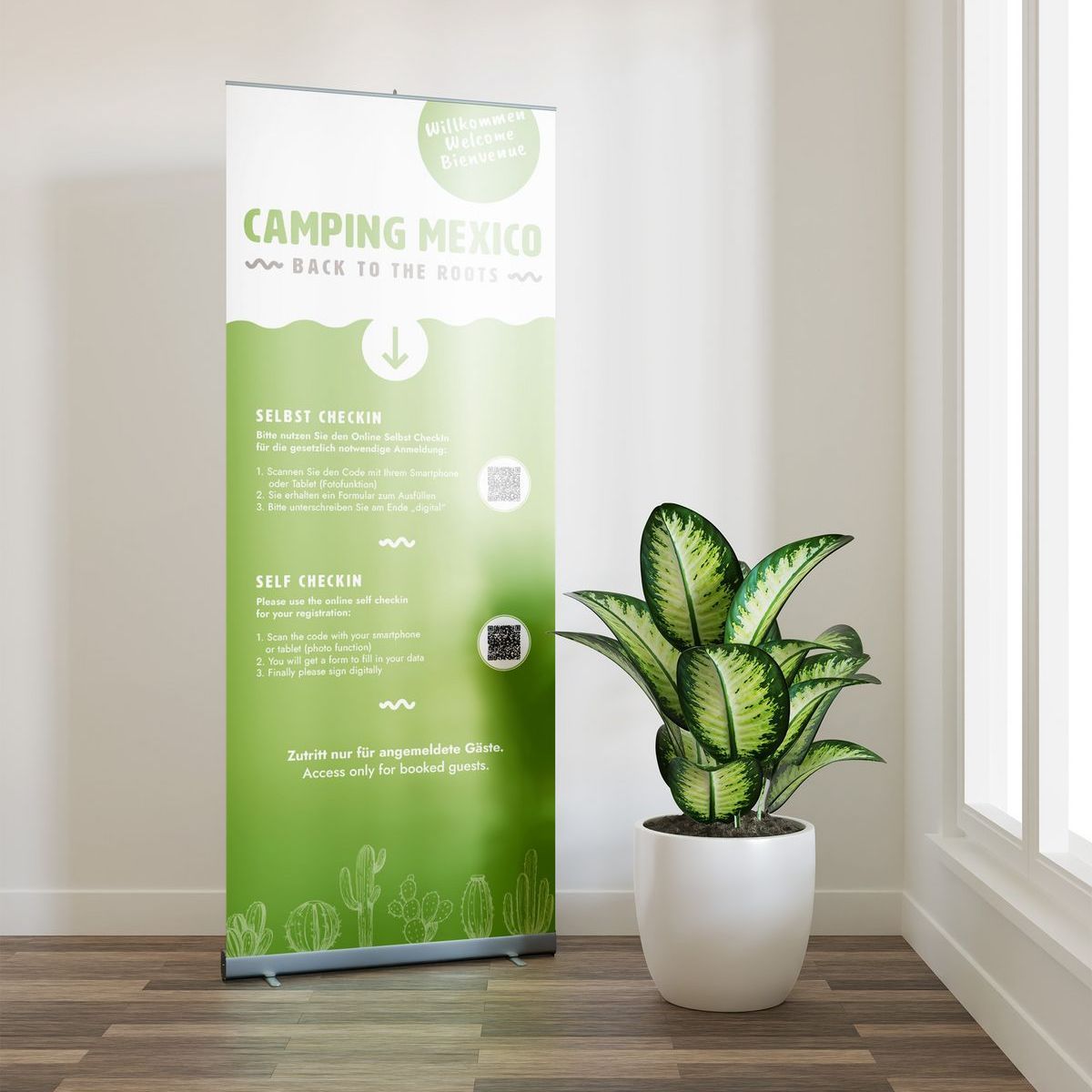 Roll-Up Design Camping Mexico